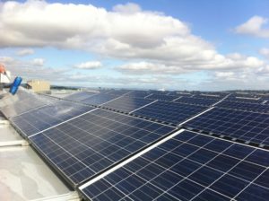 Solar Panel Cleaning
