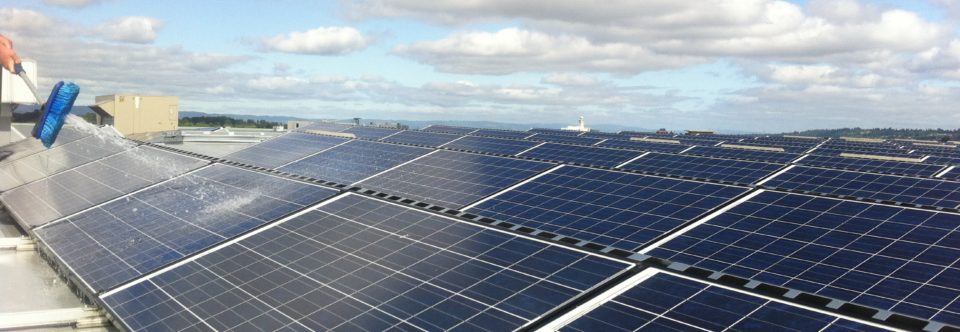 Solar Panel Cleaning