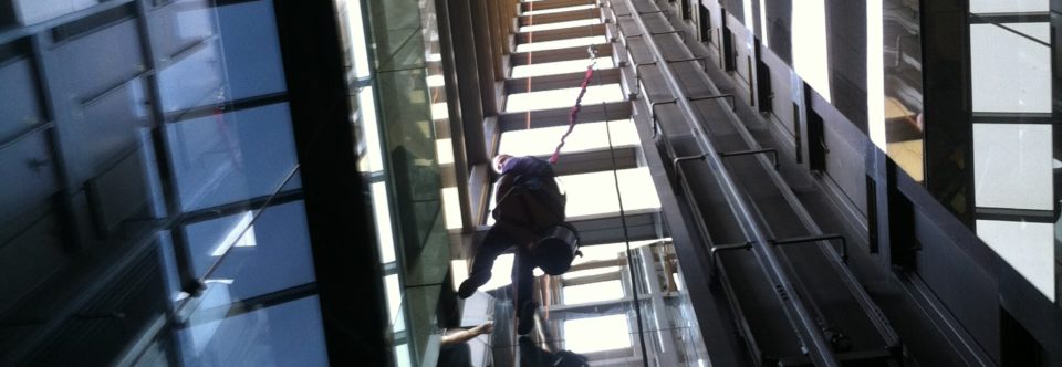 Professional Window Cleaning